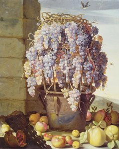 Stilleven van Fruit en Druiven